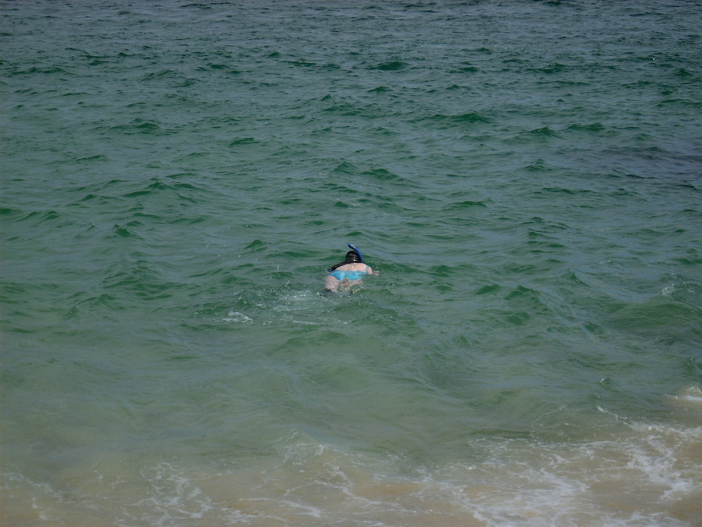 O1_MeganSnorkeling.JPG