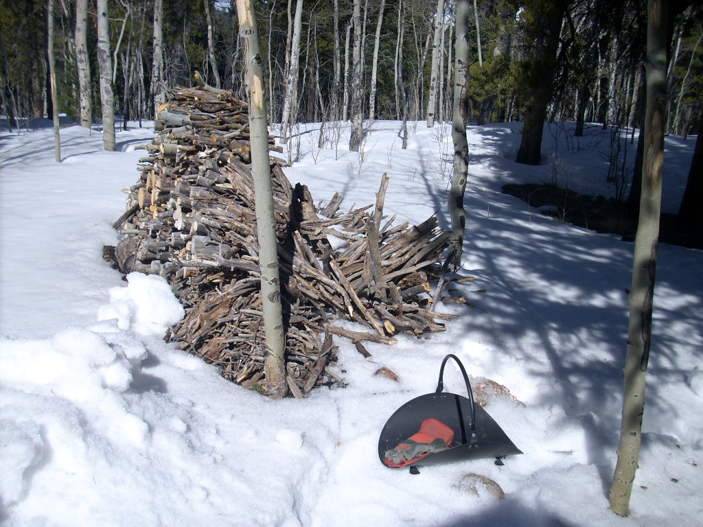 0220A_Woodpile.JPG