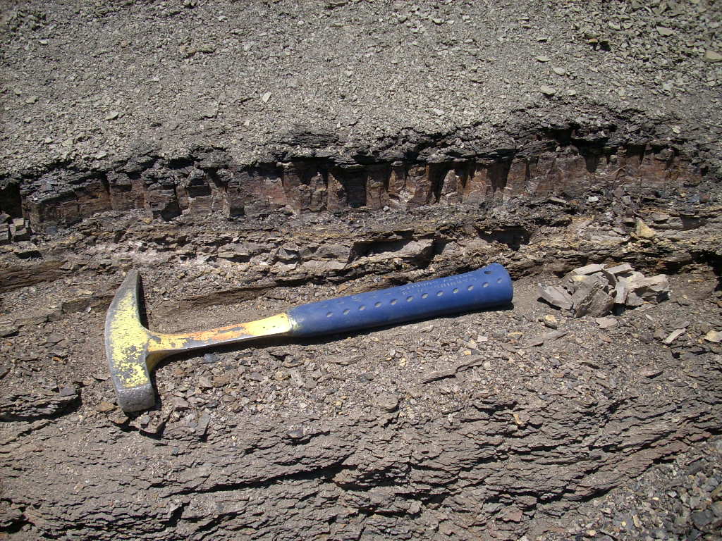 0525J2_AfterDigging.JPG