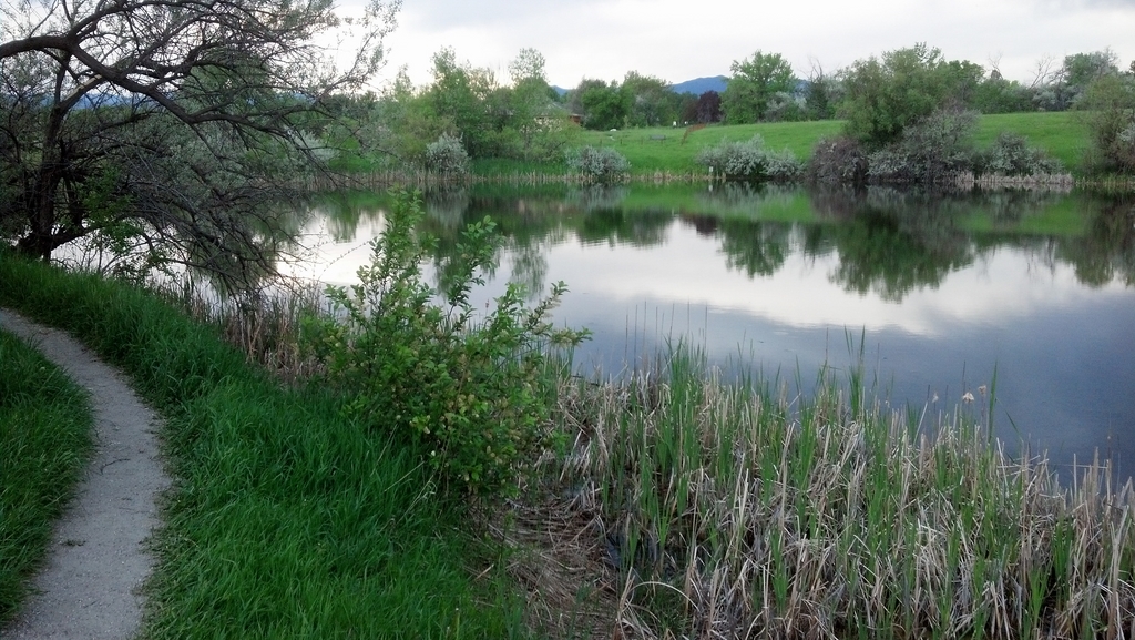 0530C_MajesticViewPond.jpg