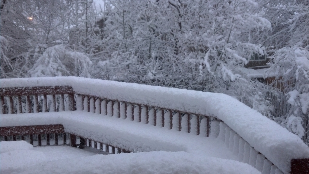 0323A_BackDeckSnowstorm.jpg