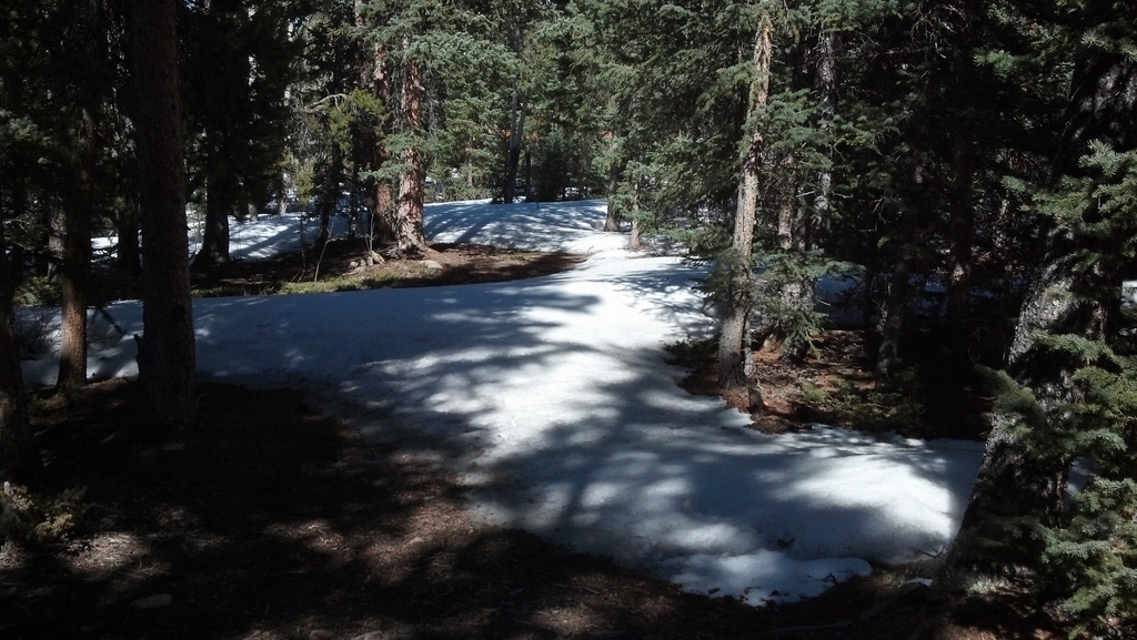 0407_CabinWestDriveway.jpg