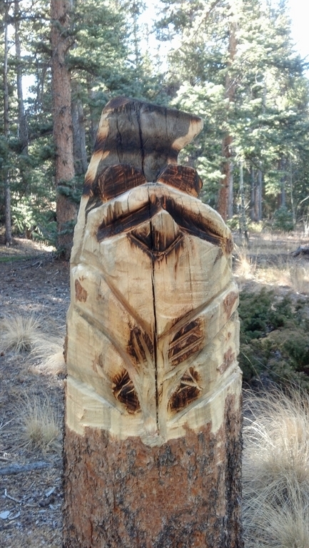 0316B_CarvedStump.jpg