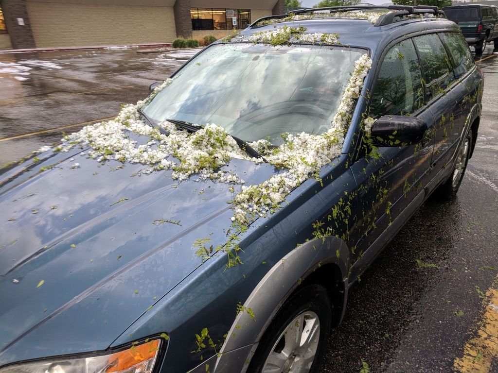 0522C_CarAfterHailstorm.jpg