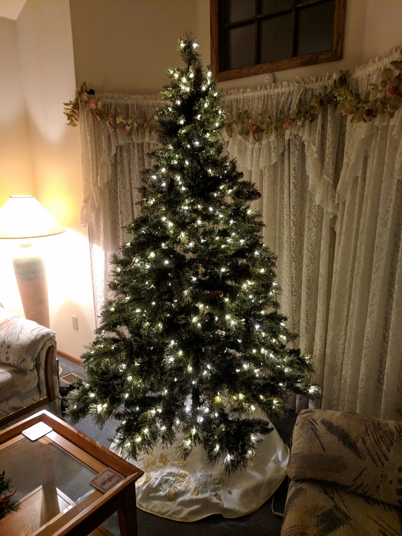 1206_CathieNewXmasTree.jpg