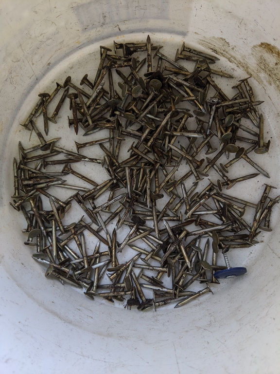 1009_PickedUpRoofingNails.jpg