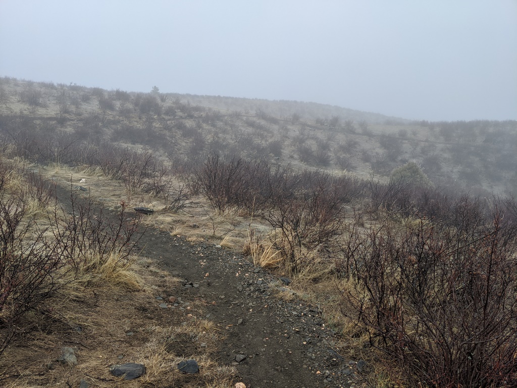 A1_FoggyTrailUp.jpg