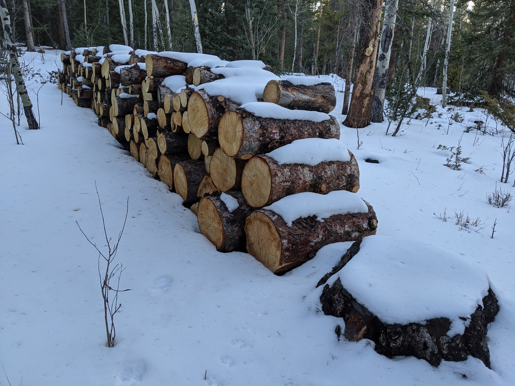 D2_SnowOnLogWall.jpg
