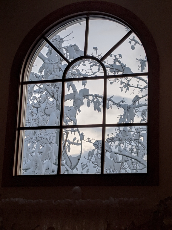 0416B_SnowstormFrontWindow.jpg