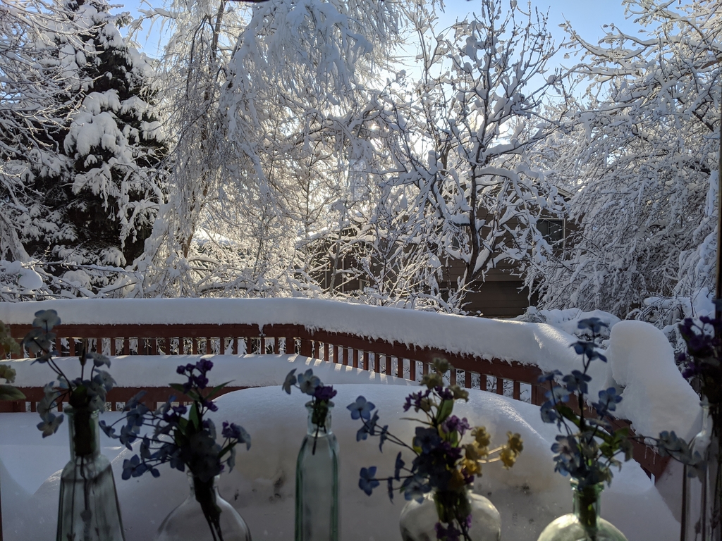 0417E_SnowstormKitchenWindow.jpg