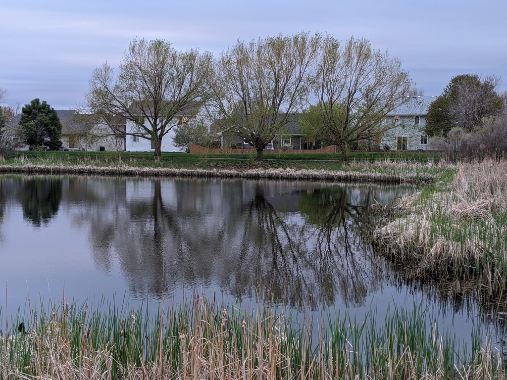 0509C_EnglishRanchPond.jpg