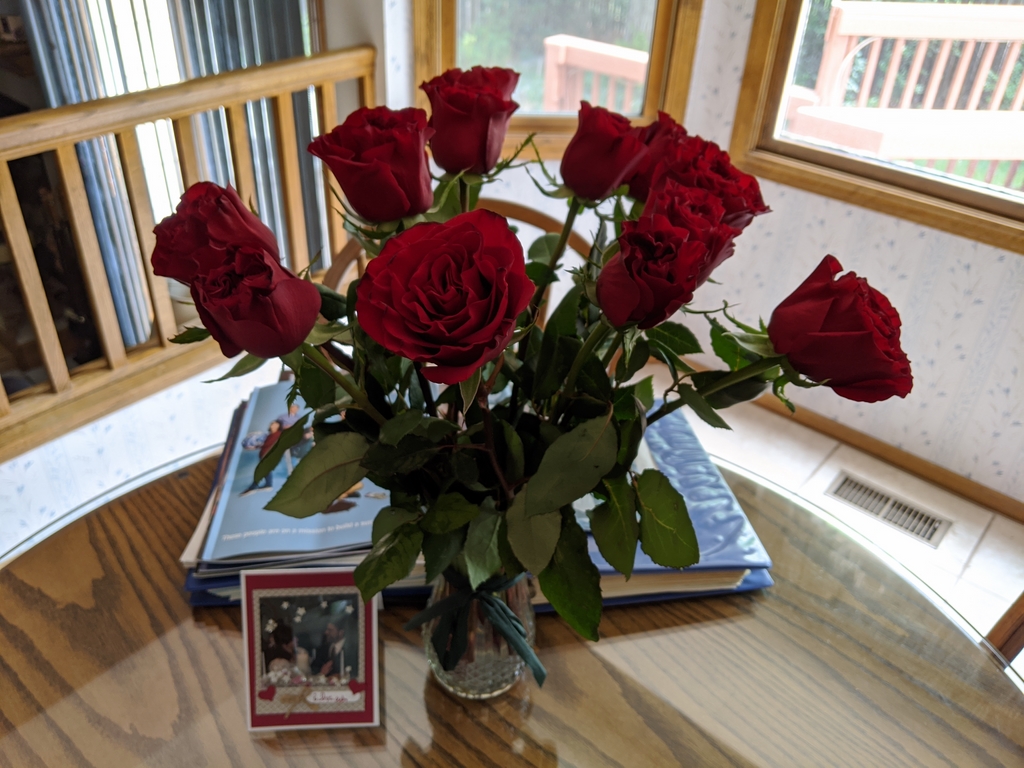 0629A_AnniversaryRoses.jpg