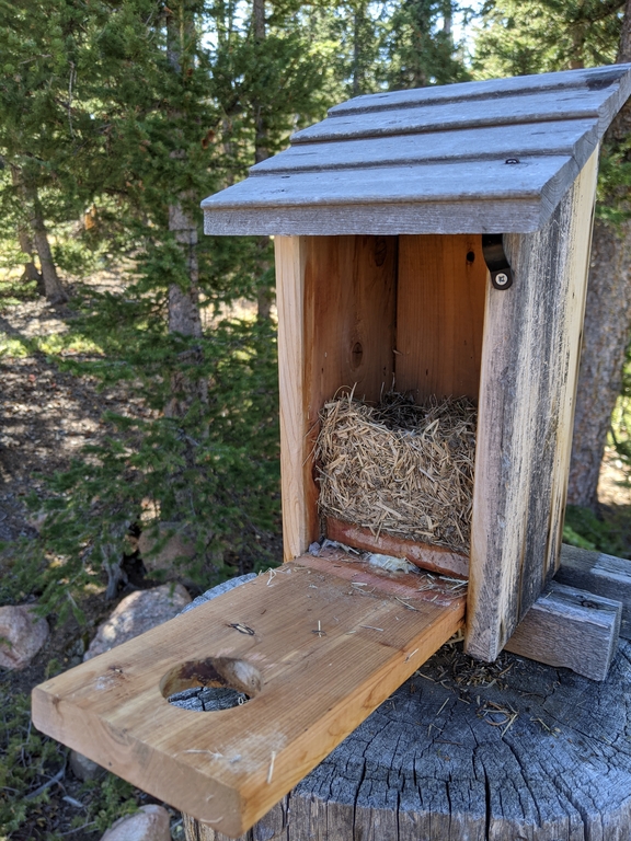 1010A_CleaningBirdhouse.jpg