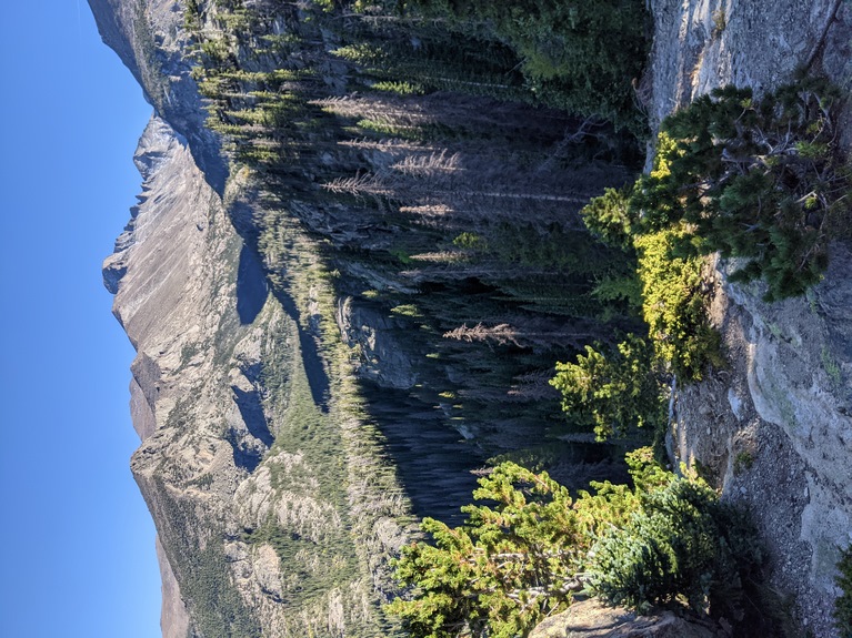 V6_GlacierGorgeWithTrees.jpg