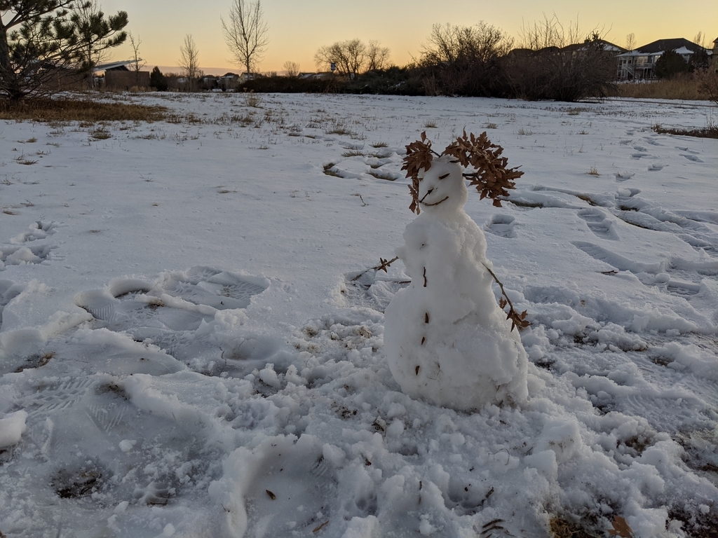 0101A_FossilCreekParkSnowman.jpg