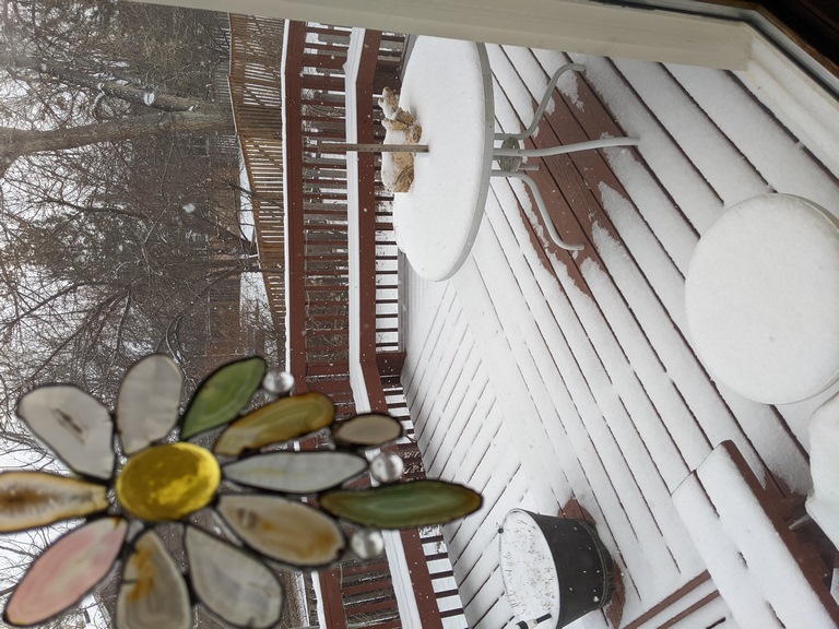 0126_SnowOnBackDeck.jpg