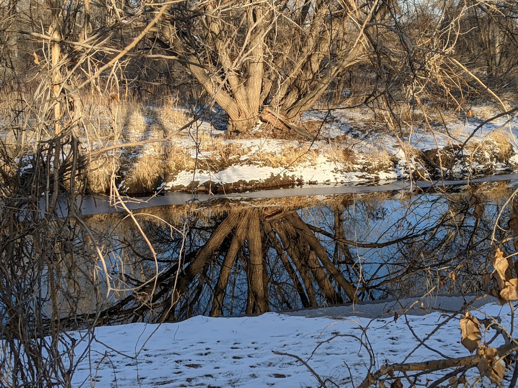 0127G_SnowyPoudreRiver.jpg