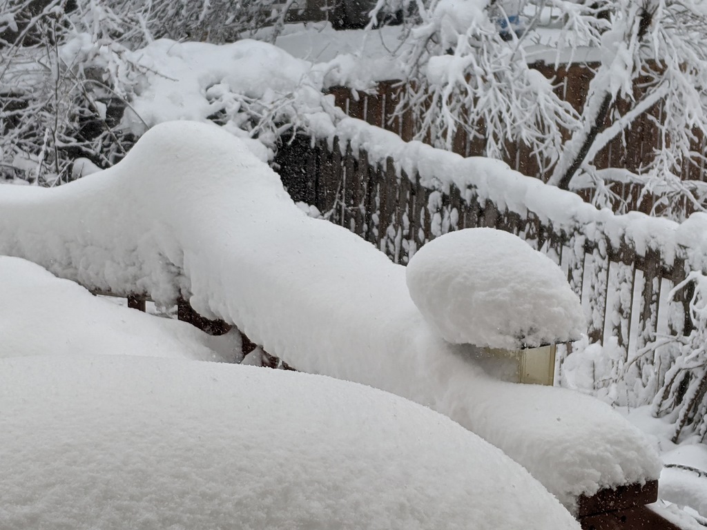0314A_HeavySnowOnDeck.jpg