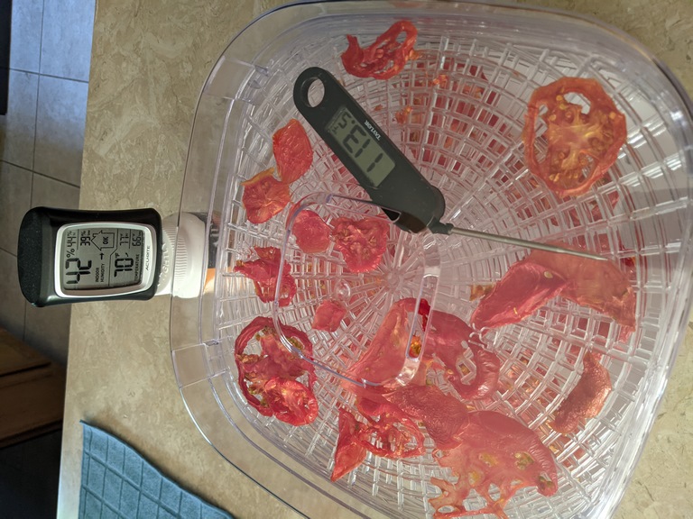 1006_TomatoesThermomInDryer.jpg