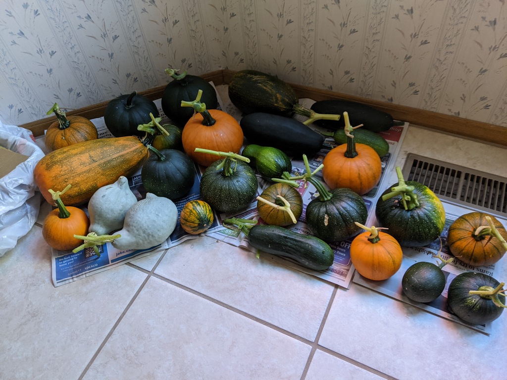 1016_AnnualWinterSquash.jpg