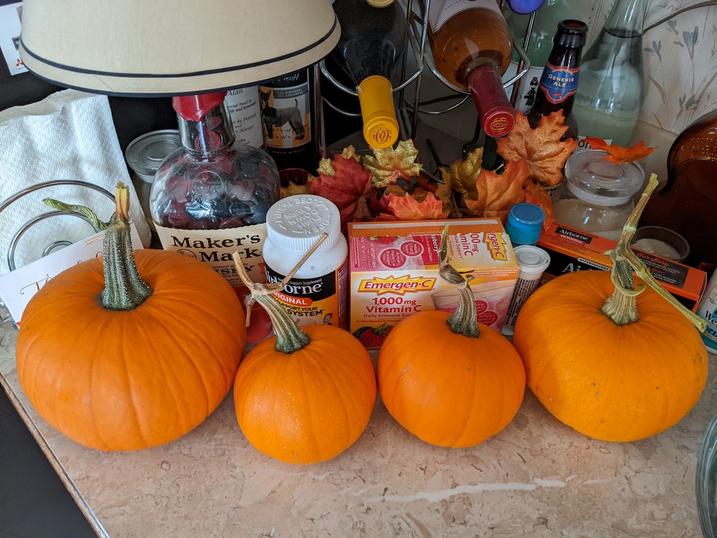 1120B_MoreGardenPumpkins.jpg