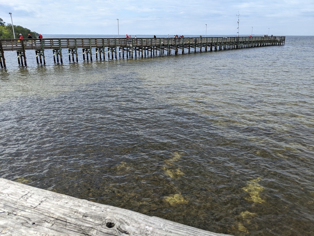 H4_AncloteGulfParkPier.jpg