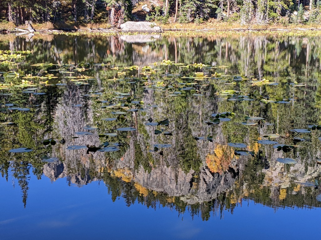 C2_NymphLakeReflections.jpg