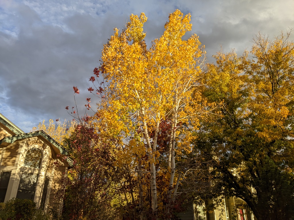 1025_FrontFallColors.jpg