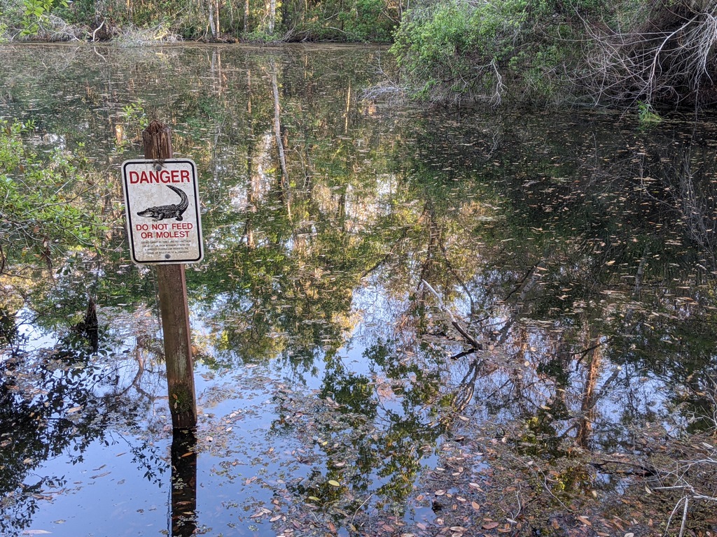 S6_ChesnutParkAlligatorSign.jpg
