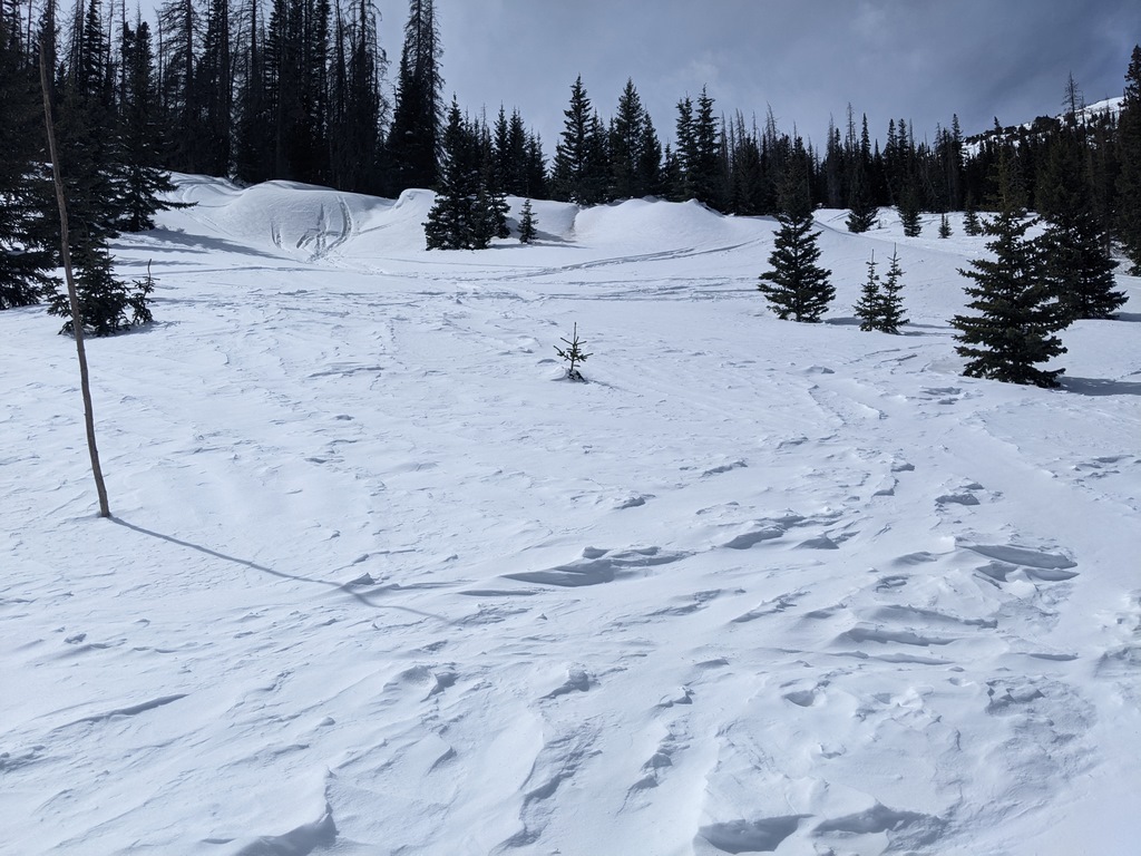 G2_UpOldSkiRun.jpg