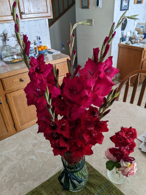 0717_GardenGladsInVase.jpg
