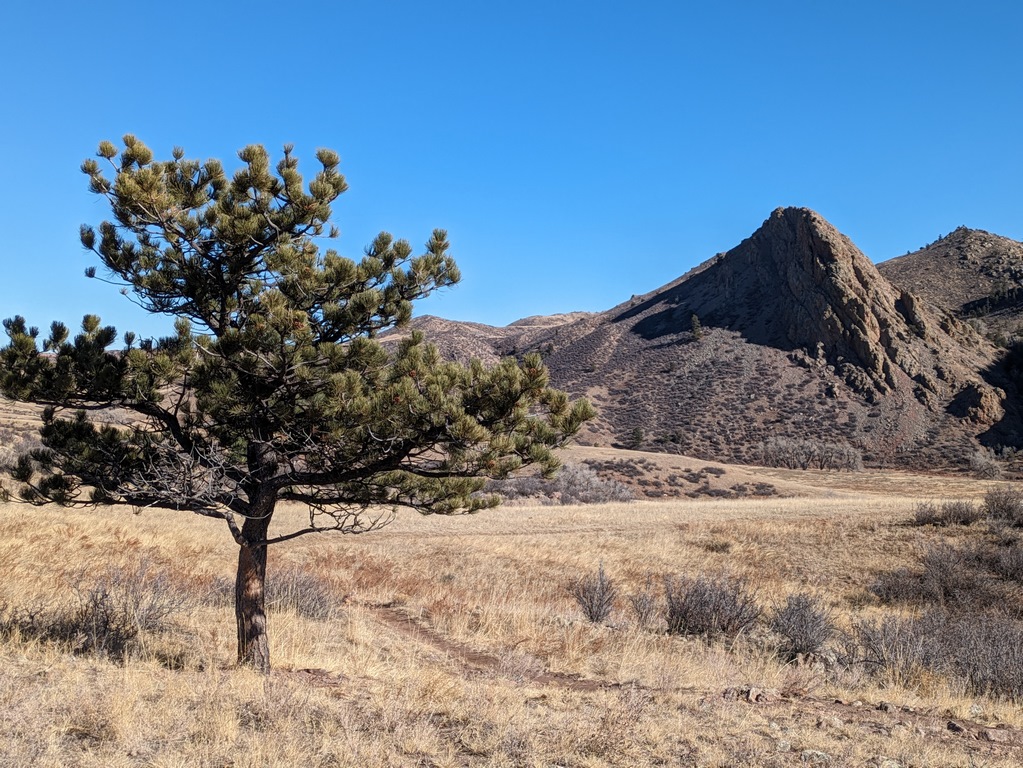 0131D_EaglesNestTreeAndSpire.jpg