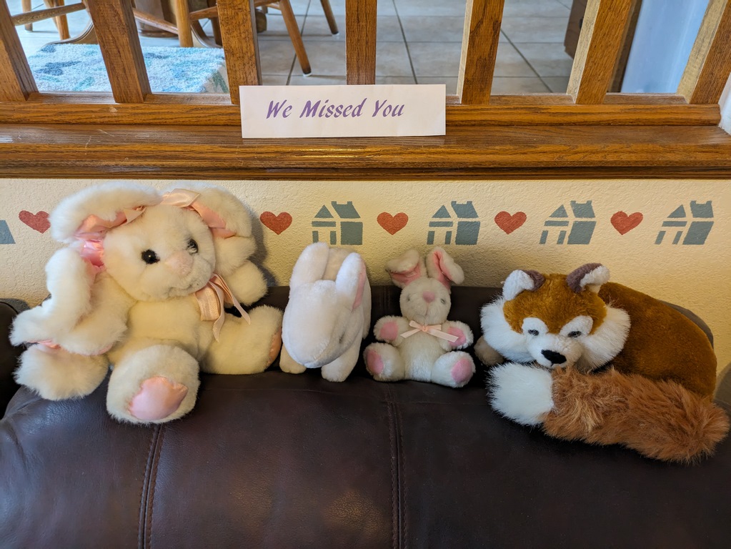 0203_StuffedCrittersOutOfBox.jpg