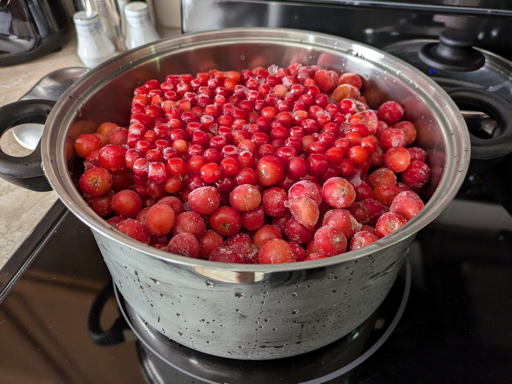 0707_BoilingNankingCherries.jpg