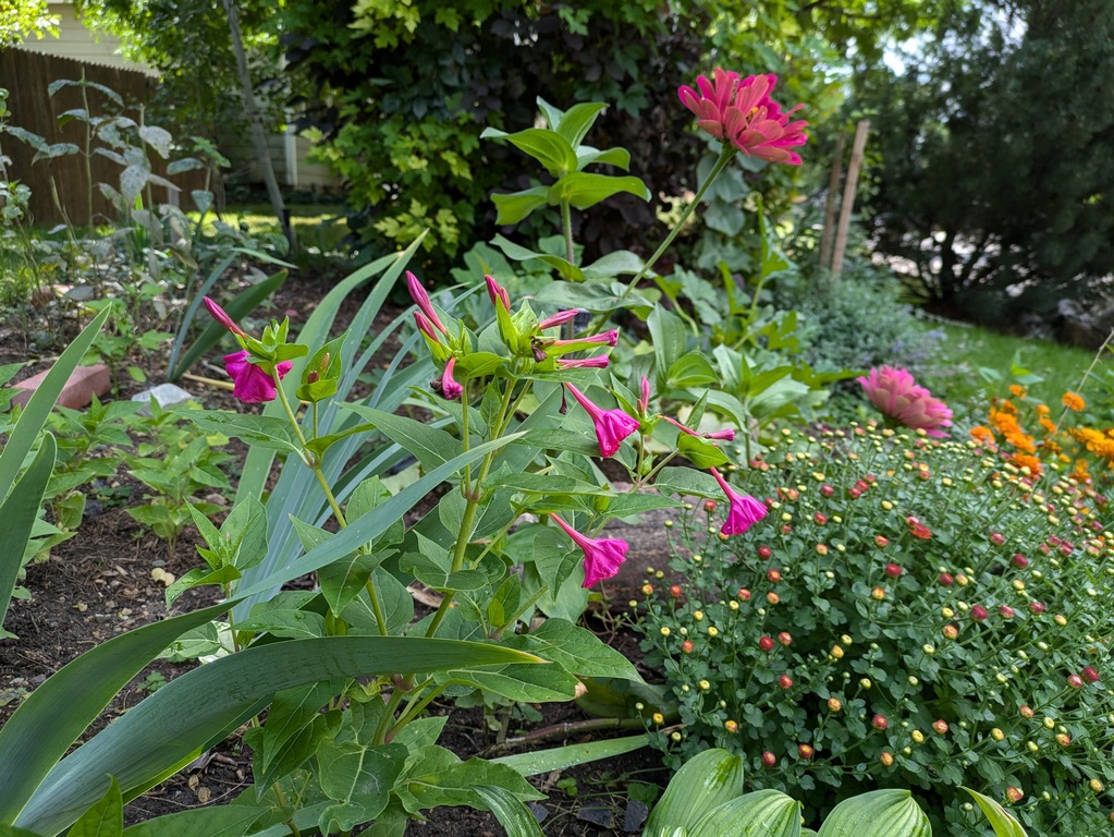 0909_FrontFlowers.jpg