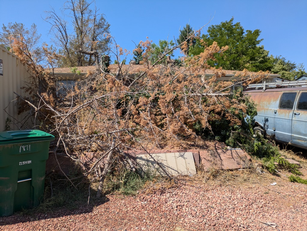 0913A_BillFrontYardDenver.jpg