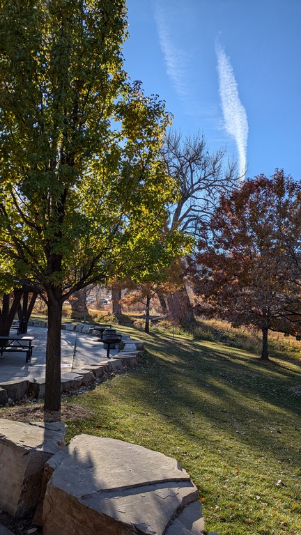 1110B_TreesSpringCynPark.jpg