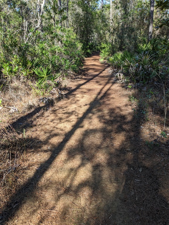 0222I_DryTrail.jpg