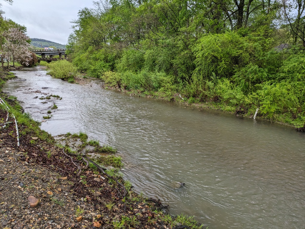 A1_CreekUpstreamAfterRain.jpg