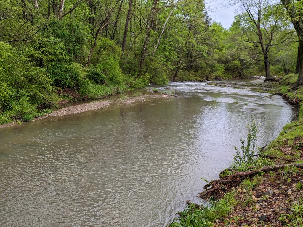 A2_CreekDownstreamAfterRain.jpg