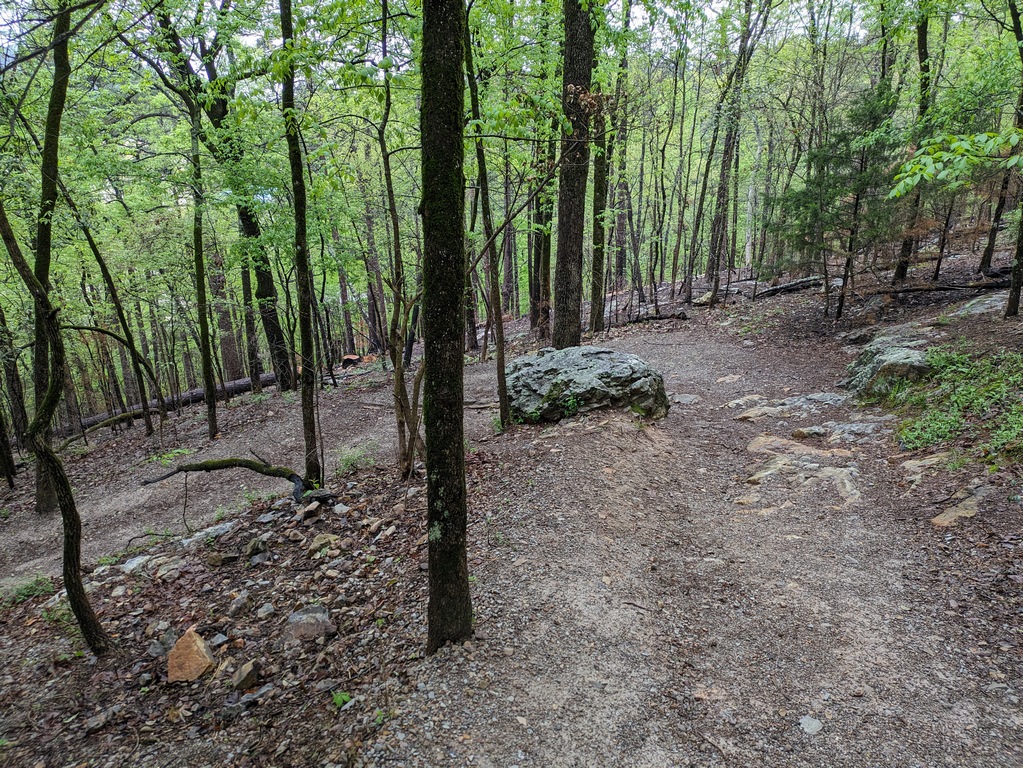 B4_SwitchbackOnHillsideTrail.jpg