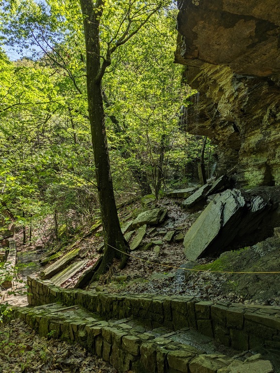 C6_RunestoneTrailOverhang.jpg