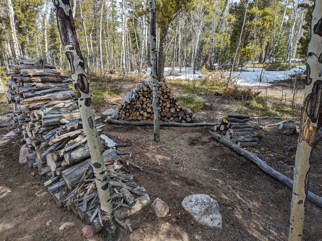 C_Woodpiles.jpg