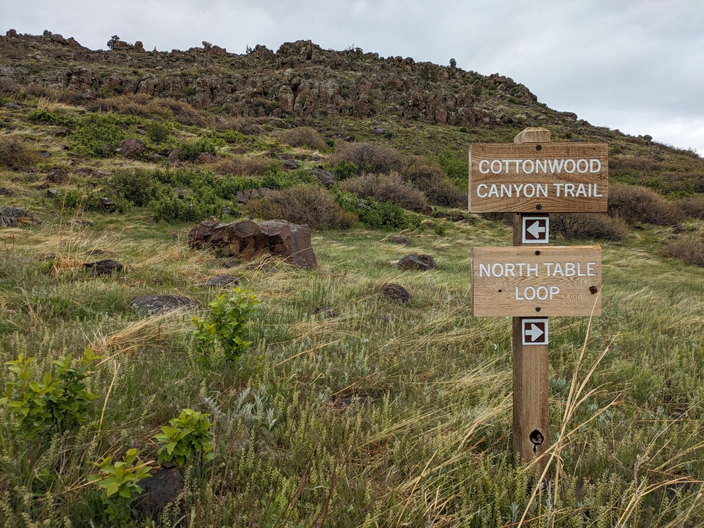 C1_CottonwoodTrailSign.jpg