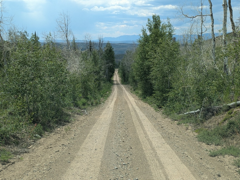 F2_DownLonelyRoad.jpg