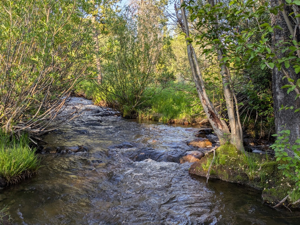 H1_RyanParkCampgroundCreek.jpg