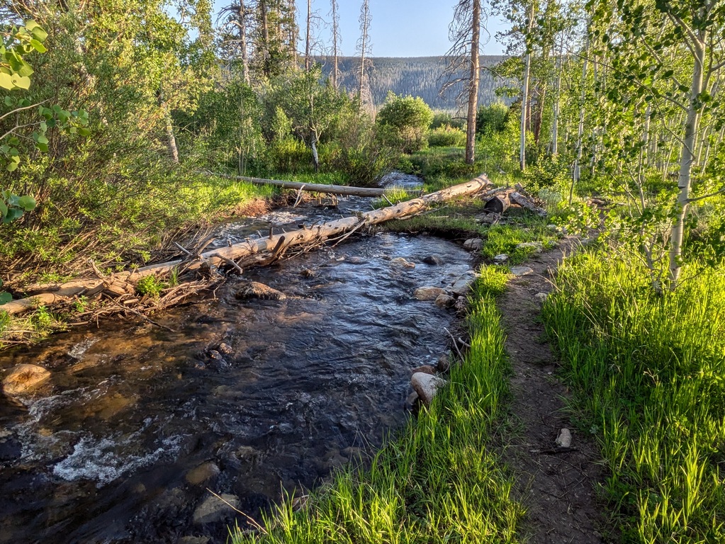 H2_RyanParkCampgroundCreek.jpg