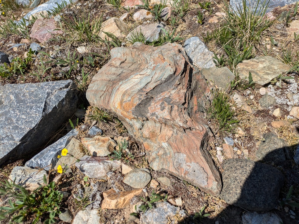 B4_FossilStromatoliteAmidQuartzite.jpg