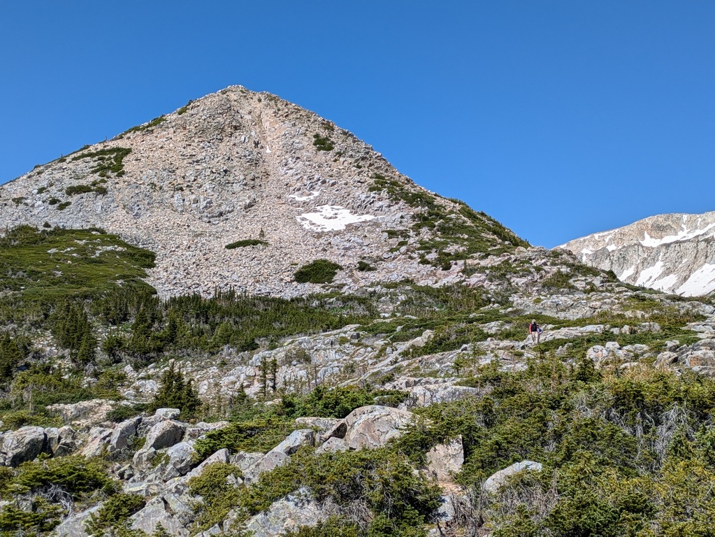 B5_LookingUpSugarloaf.jpg