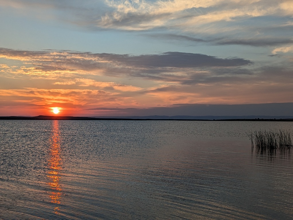 PXL_20240714_115330710.jpg